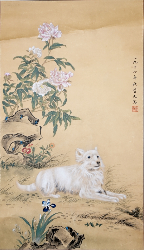 芙蓉犬嬉(1)