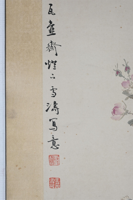 月季白头(2)