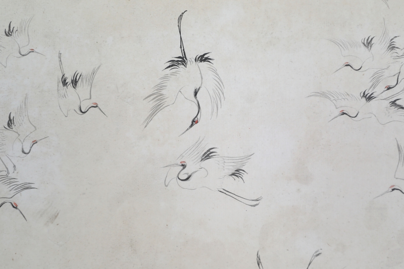 松鹤延年(5)