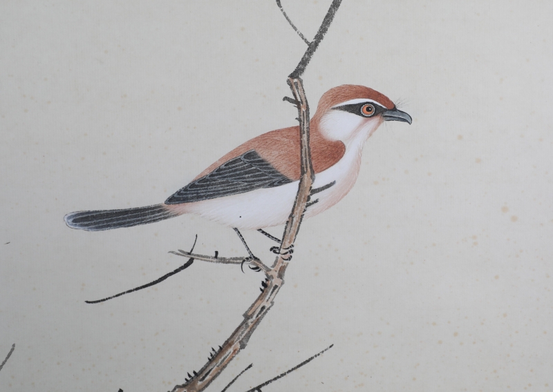 红叶翠竹小鸟(4)