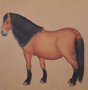 骏马(3)