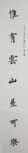 (5)