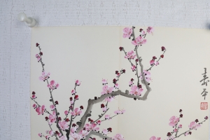 粉梅(3)