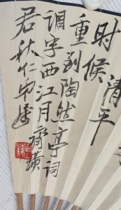 海棠蜻蜓(4)