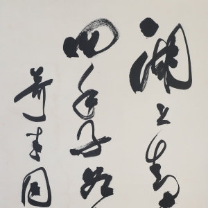 (3)